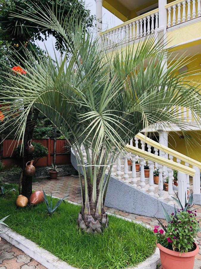 Отель Гостевой дом George's House Кобулети Экстерьер фото